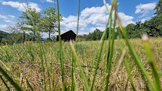 Terreno non edificabile Zaumol, Vrbovsko, 3.100m2