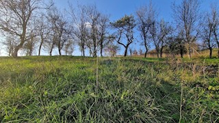 Terreno edificabile Vrbovsko, 4.184m2