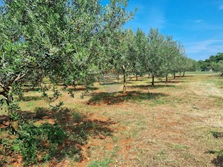 Terreno edificabile Loborika, Marčana, 2.321m2