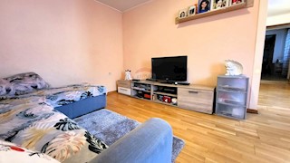 Appartamento Brtonigla, 100m2