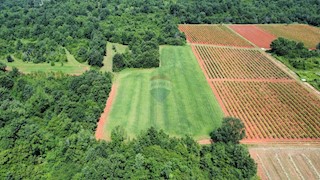 ISTRIA, POREČ - land 6420 m2 