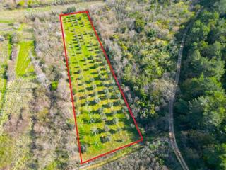 Terreno non edificabile Rovinjsko Selo, Rovinj, 5.440m2