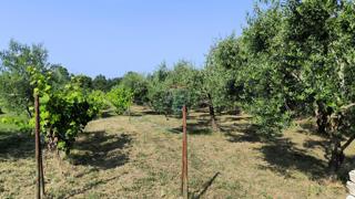 Terreno edificabile Marčana, 1.695m2