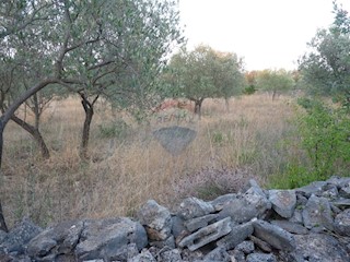 Terreno agricolo Fažana, 1.140m2