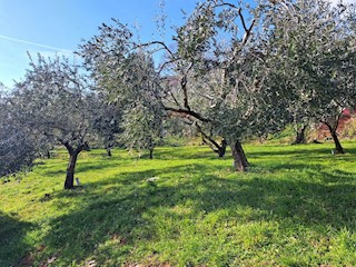 Terreno non edificabile Mošćenice, Mošćenička Draga, 727m2