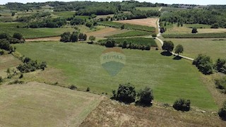 Terreno non edificabile Vižinada, 11.290m2