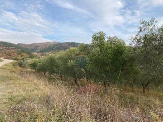Terreno non edificabile Grimalda, Cerovlje, 23.000m2
