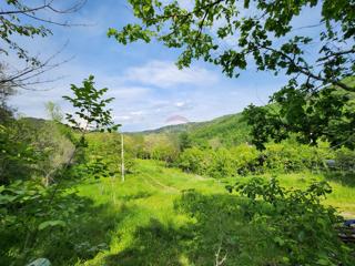 Terreno non edificabile Sovinjak, Buzet, 20.001m2