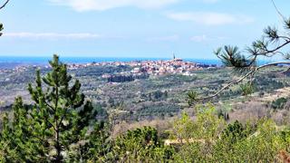 Terreno edificabile Krasica, Buje, 898m2