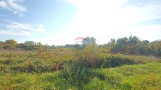 Terreno edificabile Novigrad, 659m2