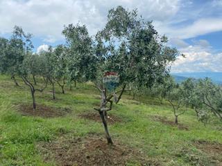 Terreno non edificabile Cerovlje, 45.398m2