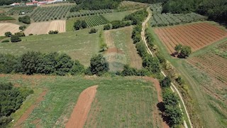 Terreno non edificabile Vižinada, 19.280m2