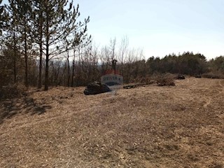 Terreno non edificabile Vrh, Buzet, 24.282m2