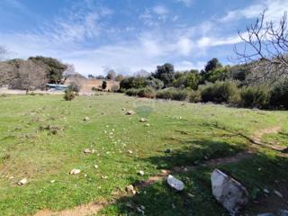 Terreno non edificabile Punat, 3.119m2
