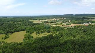 Terreno non edificabile Sveti Ivan, Višnjan, 44.336m2
