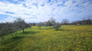 Terreno edificabile Umag, 3.364m2