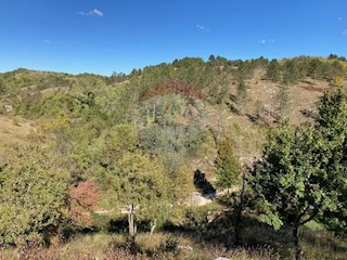 Terreno non edificabile Trviž, Pazin - Okolica, 14.374m2