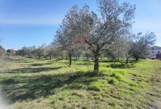 Terreno non edificabile Galižana, Vodnjan, 3.622m2