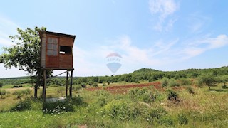 Terreno non edificabile Poreč, 43.147m2