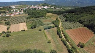 Terreno non edificabile Vižinada, 31.525m2