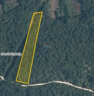 Terreno non edificabile Krunčići, Sveti Lovreč, 12.103m2