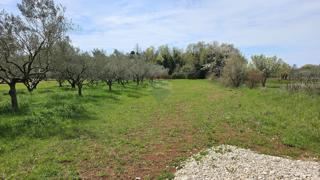 Terreno non edificabile Umag, 727m2