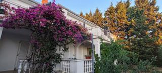 Casa Barbat na Rabu, Rab, 350m2