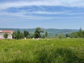 Terreno edificabile Vižinada, 2.610m2