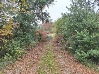 Terreno edificabile Pobri, Opatija - Okolica, 1.555m2