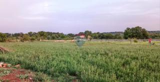 Terreno edificabile Marčana, 6.162m2