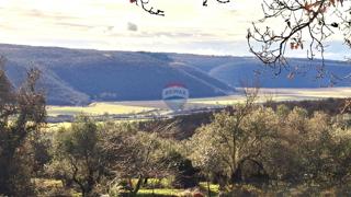 Terreno edificabile Krasica, Buje, 2.133m2