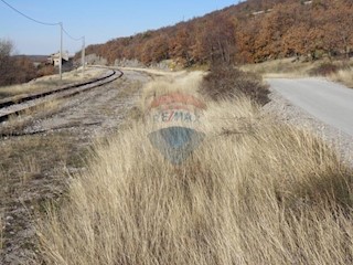 Terreno edificabile Lupoglav, 15.000m2