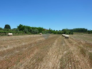 Terreno non edificabile Cerjani, Kaštelir-Labinci, 7.477m2