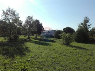 Terreno agricolo Rovinj, 6.234m2