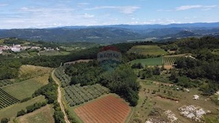 Terreno non edificabile Cvitani, Višnjan, 26.548m2