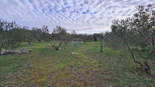 Terreno Zaton, Šibenik - Okolica, 3.189m2