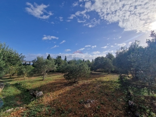 Terreno Prvić Šepurine, Vodice, 700m2