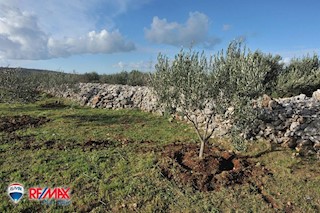 Terreni agricoli Fažana, 2.400m2