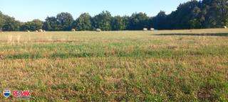 Terreni agricoli Pusti, Svetvinčenat, 8.182m2