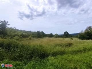 Terreni agricoli Labin, 10.886m2