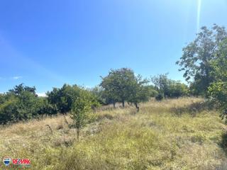 Cantiere Labin, 1.900m2