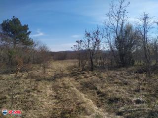 Terreni agricoli Labin, 14.167m2