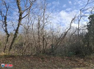 Cantiere Labin, 3.490m2