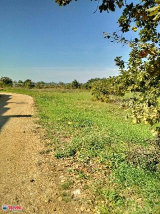 Cantiere Bonaci, Poreč, Matulini, Poreč, Istarska županija, 32.000m2