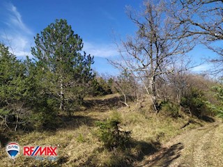 Terreni agricoli Lesišćina, Lupoglav, 36.994m2