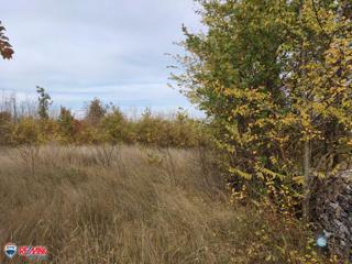 Terreni agricoli Labin, 20.635m2