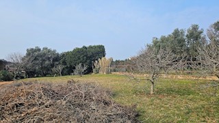 Immobiliare Istria, vendo terreno edificabile, vicino al mare, Umago