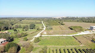 Immobili Istria, vendo terreno edificabile, dintorni Novigrad