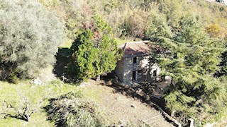 Esclusiva Casa in Pietra vicino a Grisignana