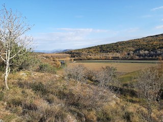 Immobili Istria, vendo terreno agricolo, dintorni Buje